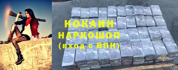 дживик Алзамай
