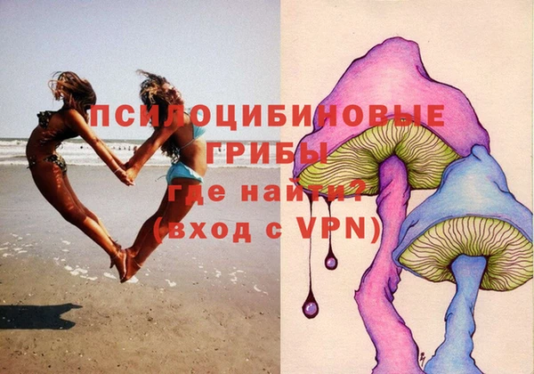 дживик Протвино