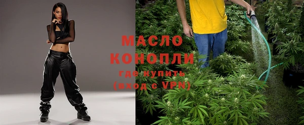 дмт Алексеевка