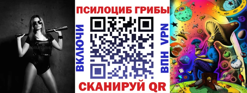 Галлюциногенные грибы Psilocybe купить закладку Лесной