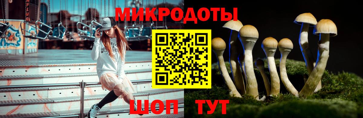 Лесной  Галлюциногенные грибы Magic Shrooms  Вход с VPN 